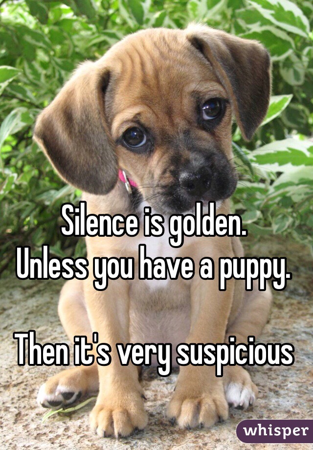 Silence is golden.  
Unless you have a puppy. 

Then it's very suspicious 