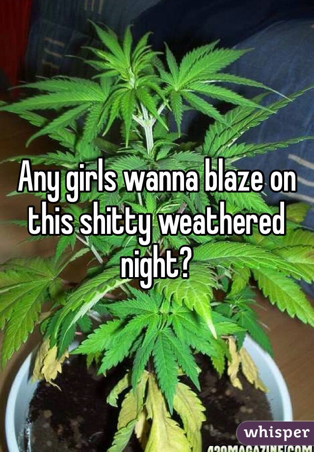 Any girls wanna blaze on this shitty weathered night?