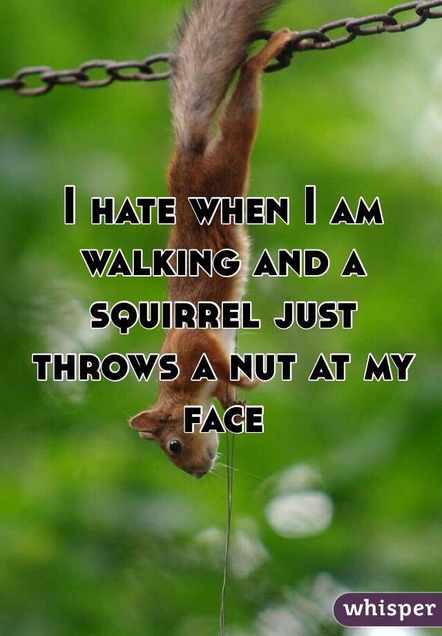 I hate when I am walking and a squirrel just throws a nut at my face