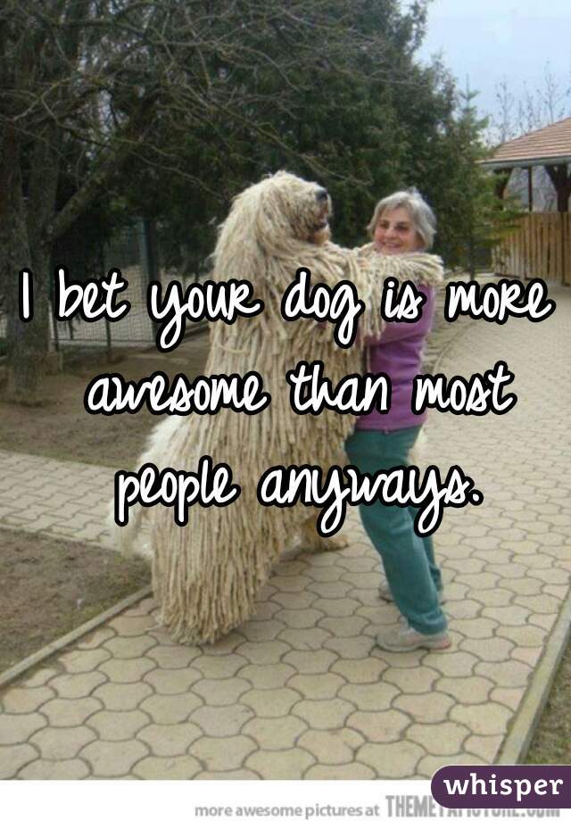 I bet your dog is more awesome than most people anyways.