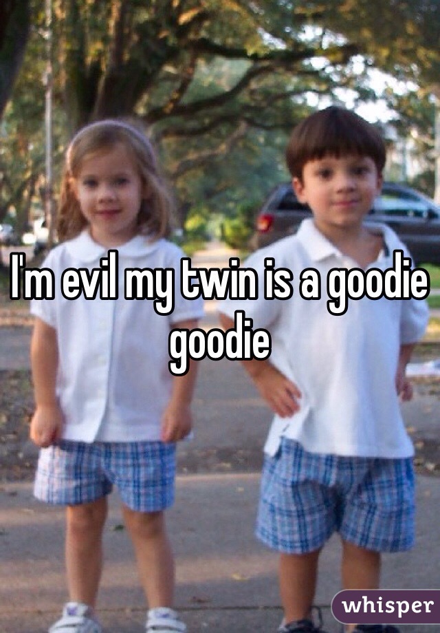 I'm evil my twin is a goodie goodie
