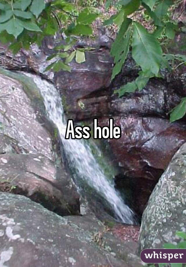 Ass hole