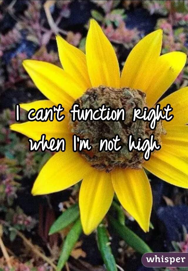 I can't function right when I'm not high 