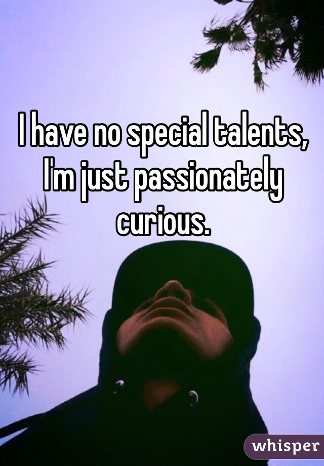 I have no special talents, I'm just passionately curious. 