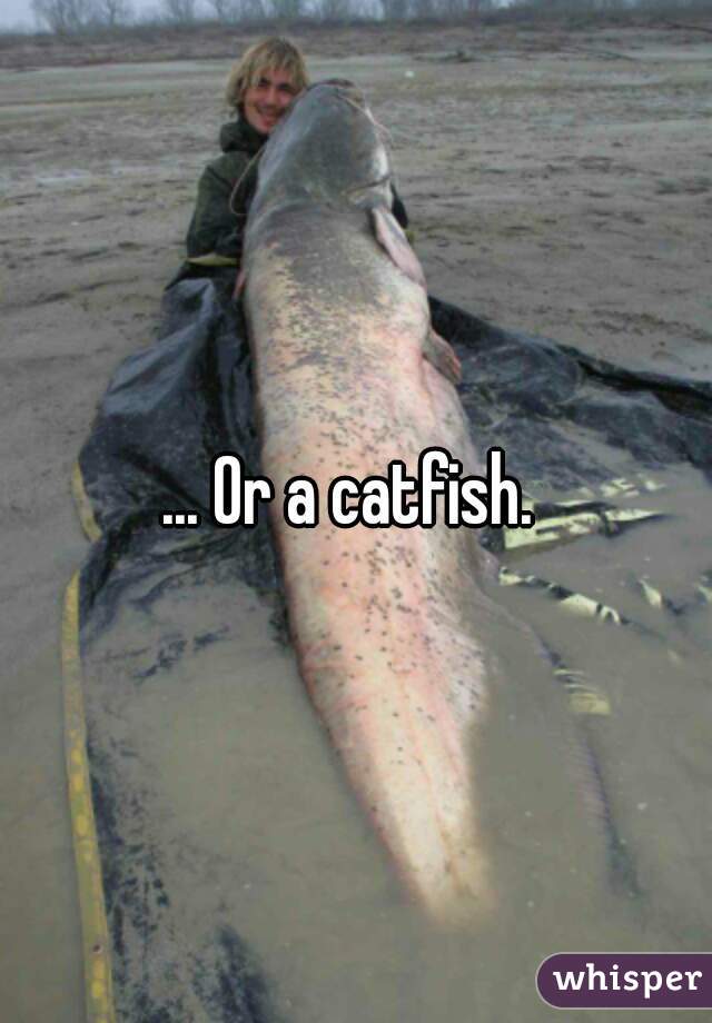 ... Or a catfish. 