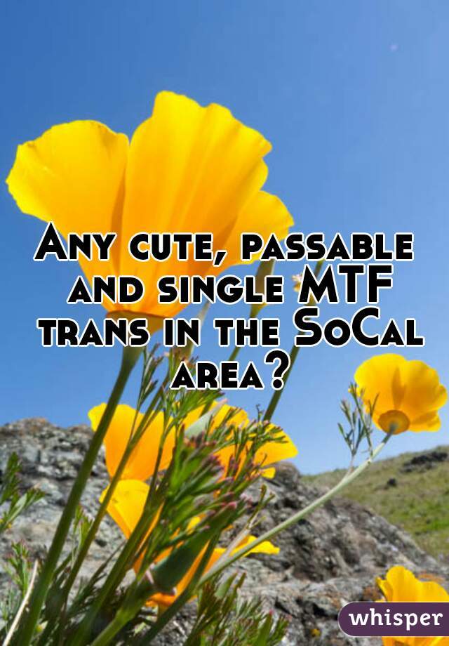 Any cute, passable and single MTF trans in the SoCal area?