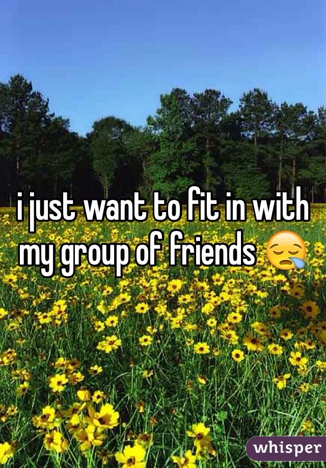 i just want to fit in with my group of friends 😪