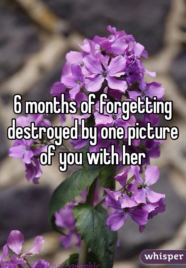 6 months of forgetting destroyed by one picture of you with her