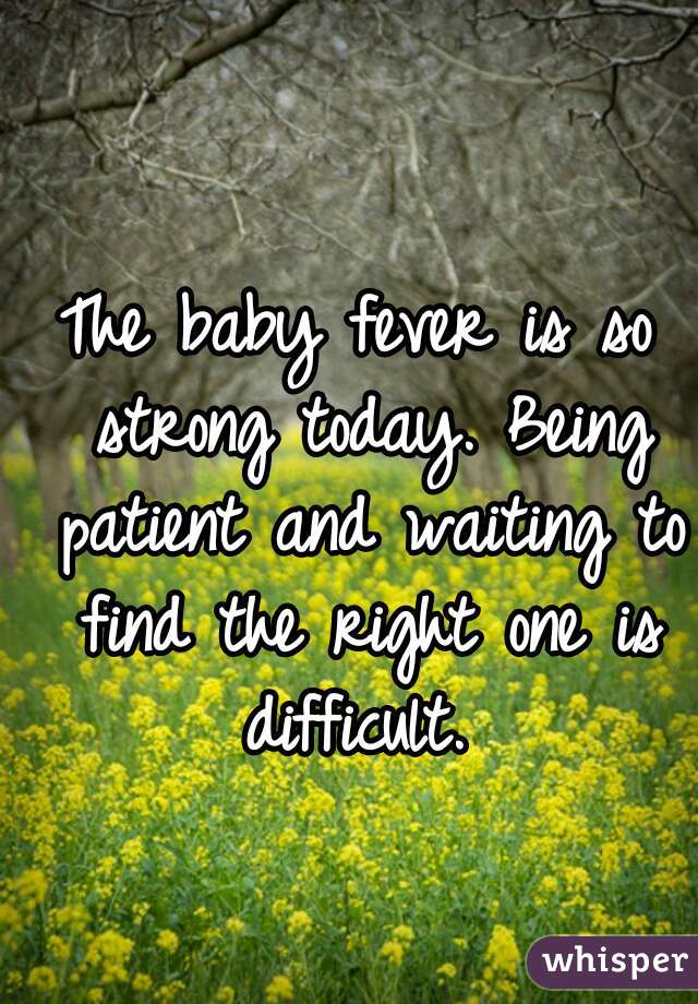 The baby fever is so strong today. Being patient and waiting to find the right one is difficult. 