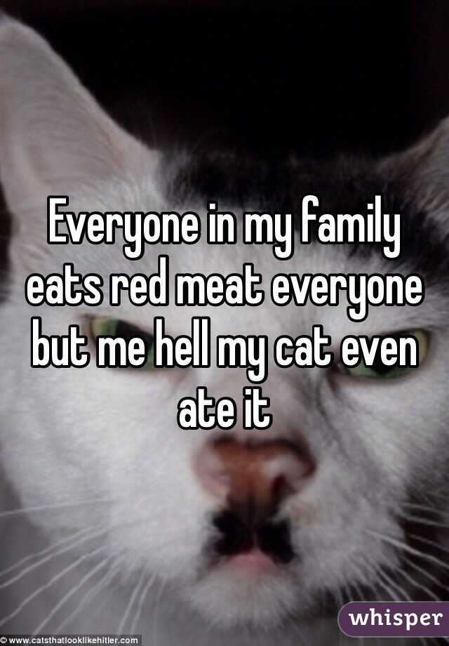 Everyone in my family eats red meat everyone but me hell my cat even ate it 