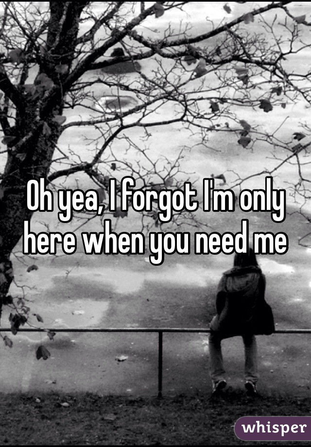 Oh yea, I forgot I'm only here when you need me