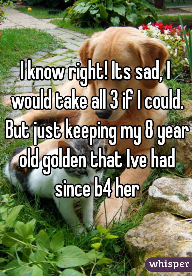 I know right! Its sad, I would take all 3 if I could. But just keeping my 8 year old golden that Ive had since b4 her