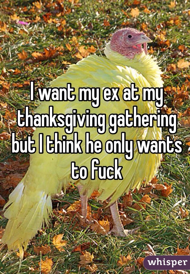 I want my ex at my thanksgiving gathering but I think he only wants to fuck 