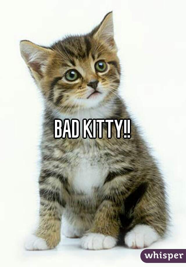 BAD KITTY!!