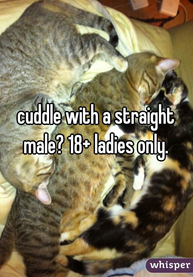 cuddle with a straight male? 18+ ladies only. 