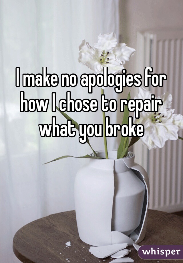 I make no apologies for how I chose to repair what you broke


