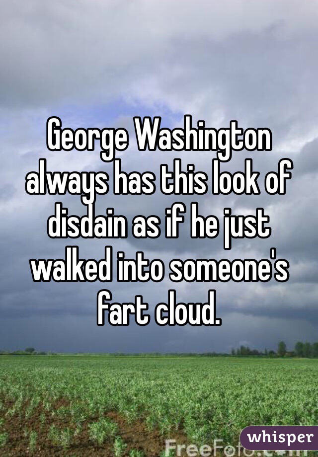 George Washington always has this look of disdain as if he just walked into someone's fart cloud. 