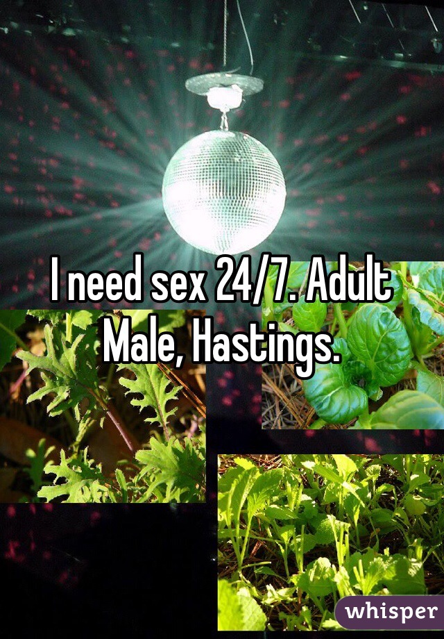 I need sex 24/7. Adult Male, Hastings. 