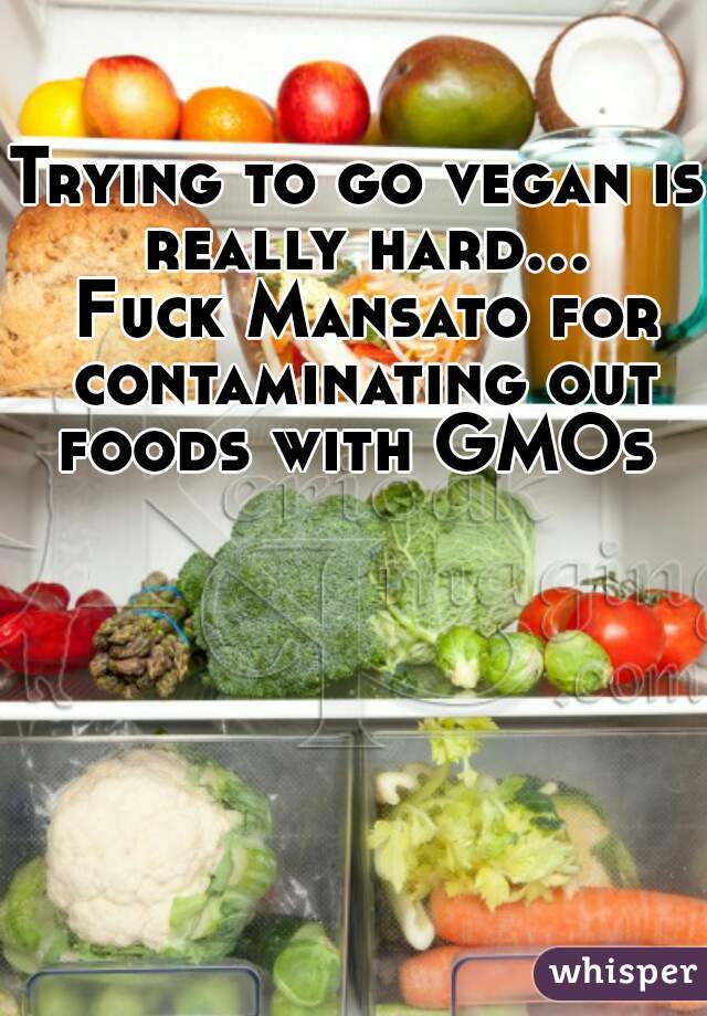 Trying to go vegan is really hard... Fuck Mansato for contaminating out foods with GMOs 