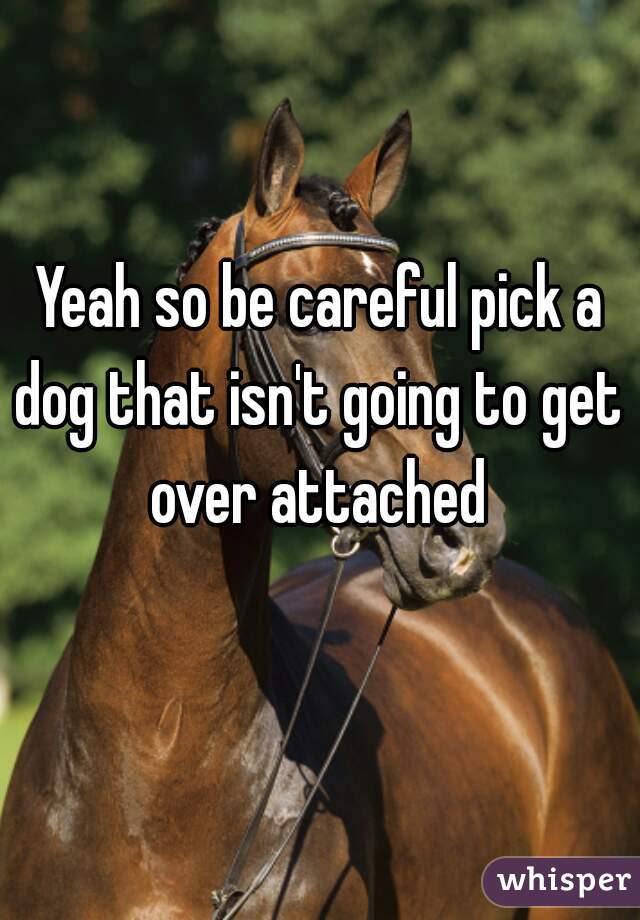 Yeah so be careful pick a dog that isn't going to get  over attached 