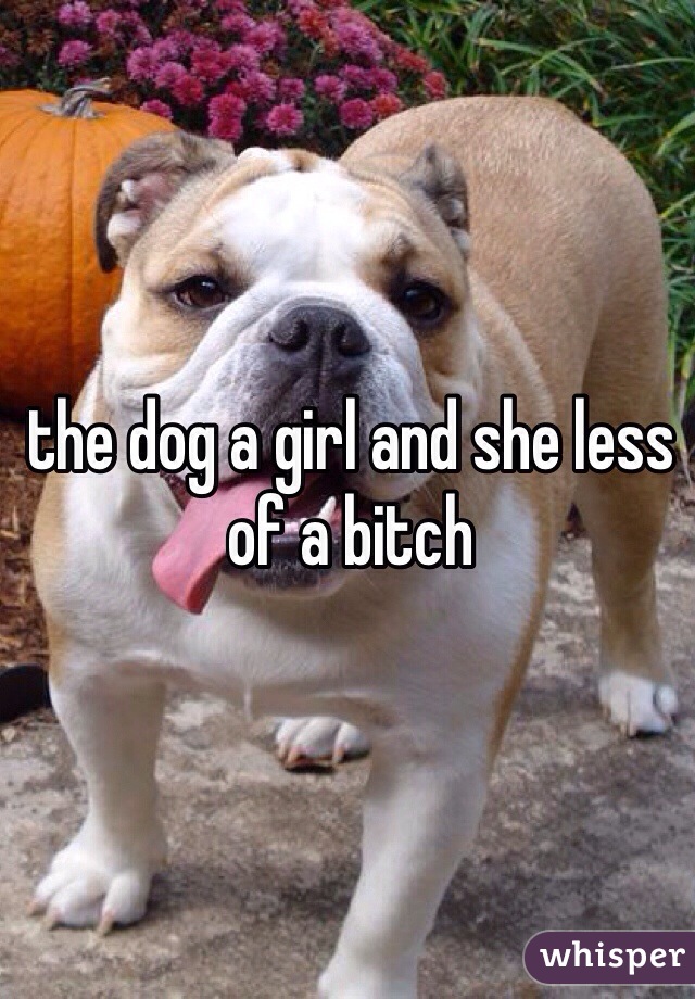 the dog a girl and she less of a bitch