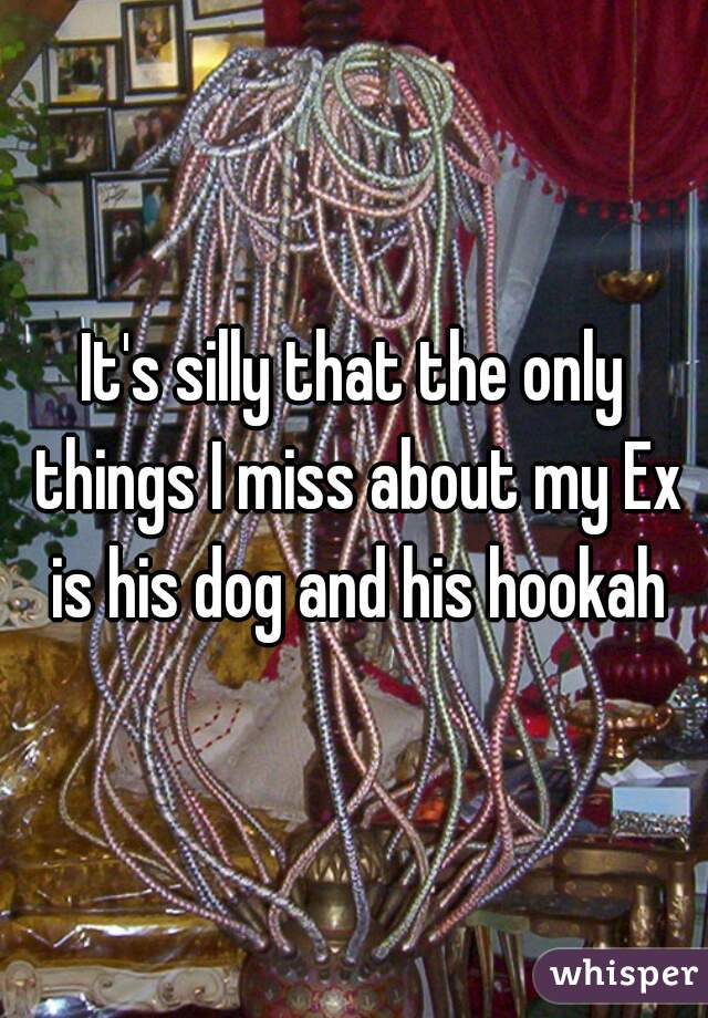 It's silly that the only things I miss about my Ex is his dog and his hookah