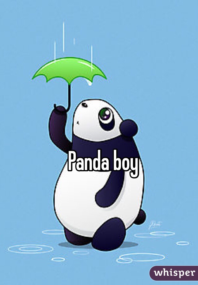 Panda boy 