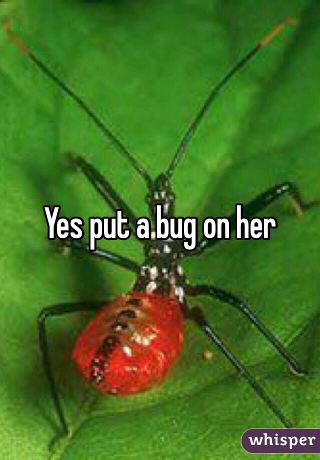 Yes put a bug on her