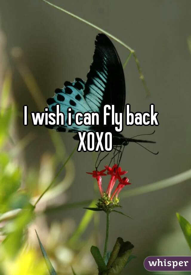 I wish i can fly back  
XOXO