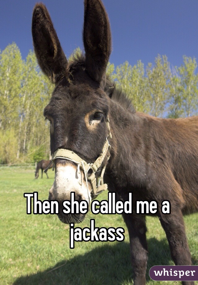 Then she called me a jackass 