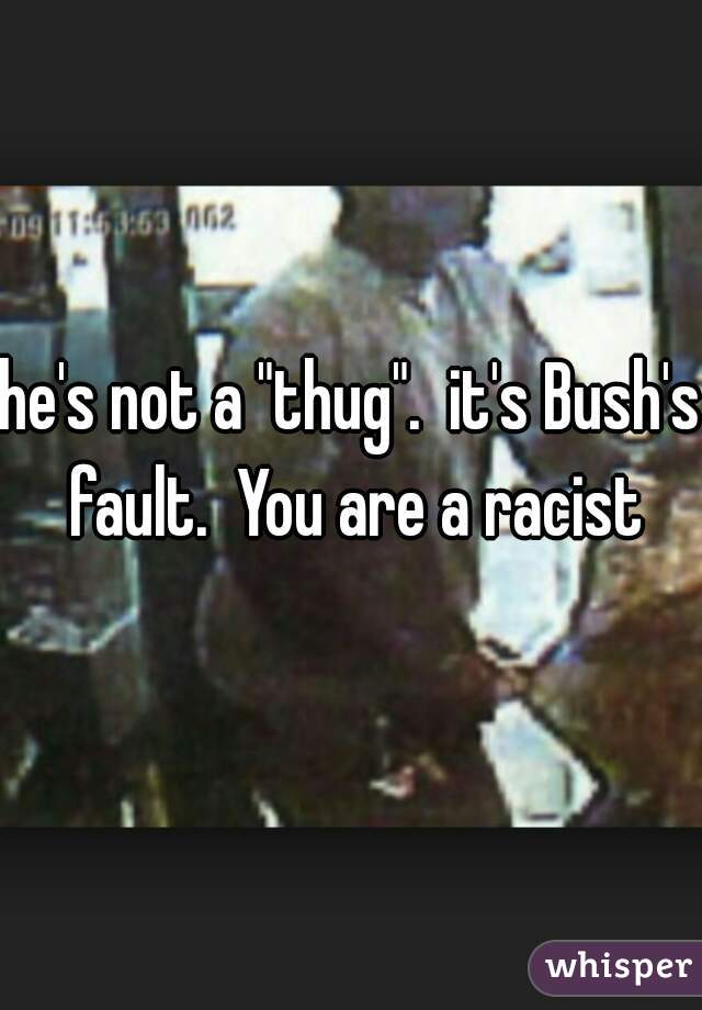 he's not a "thug".  it's Bush's fault.  You are a racist