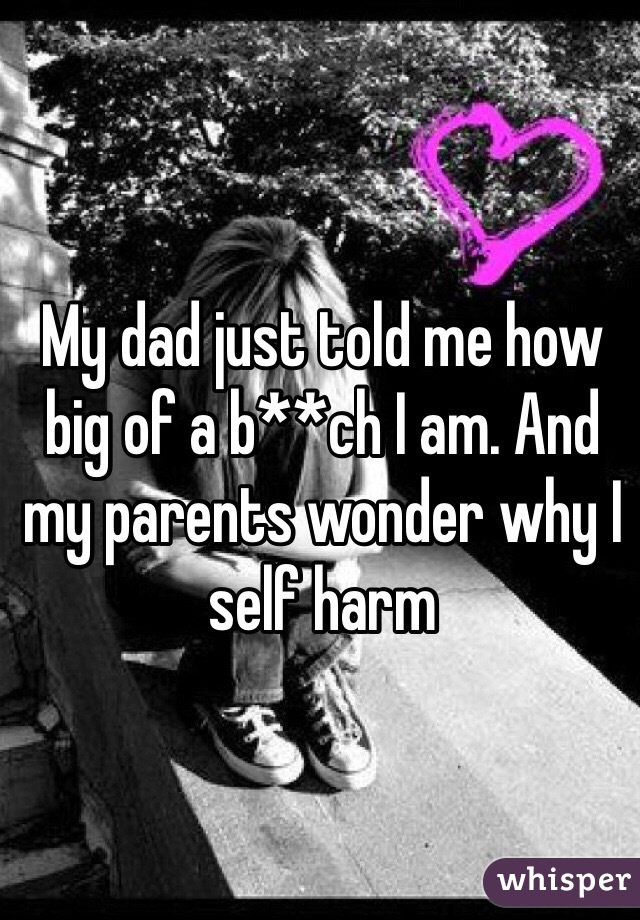 My dad just told me how big of a b**ch I am. And my parents wonder why I self harm 