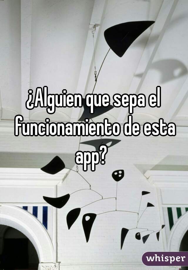 ¿Alguien que sepa el funcionamiento de esta app?  