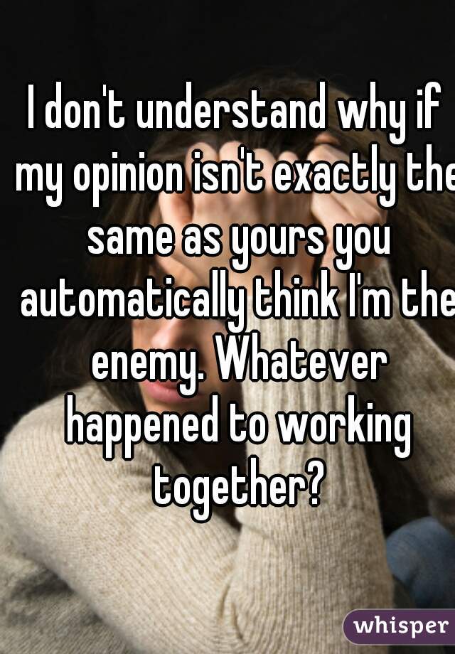 I don't understand why if my opinion isn't exactly the same as yours you automatically think I'm the enemy. Whatever happened to working together?