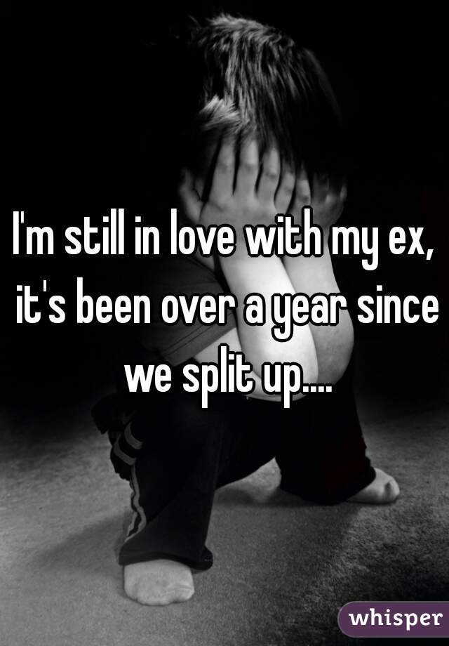 I'm still in love with my ex, it's been over a year since we split up....