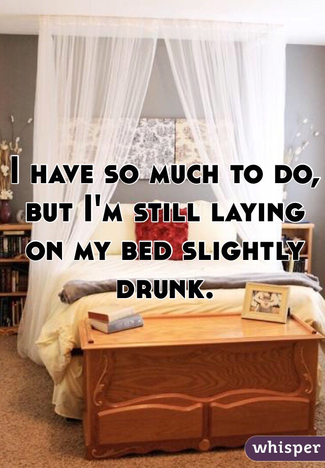 I have so much to do, but I'm still laying on my bed slightly drunk. 