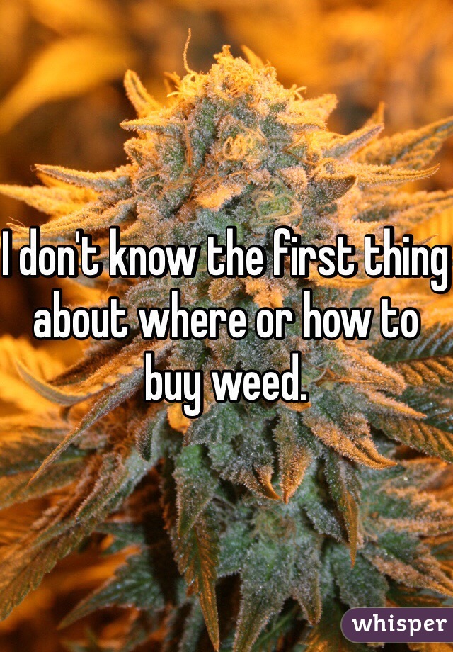 I don't know the first thing about where or how to buy weed. 