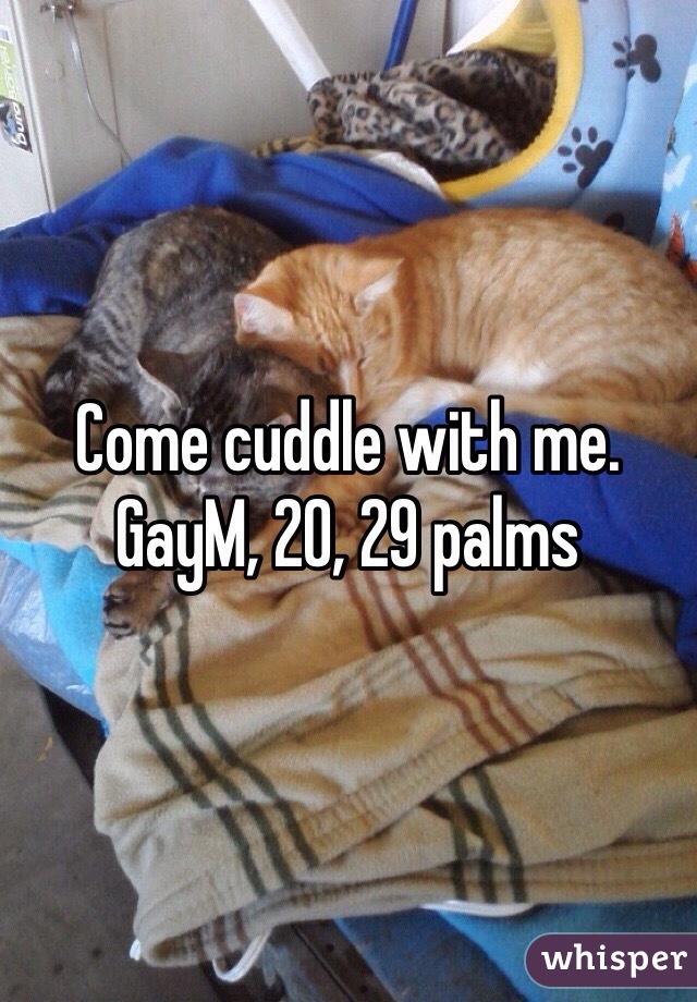 Come cuddle with me. GayM, 20, 29 palms