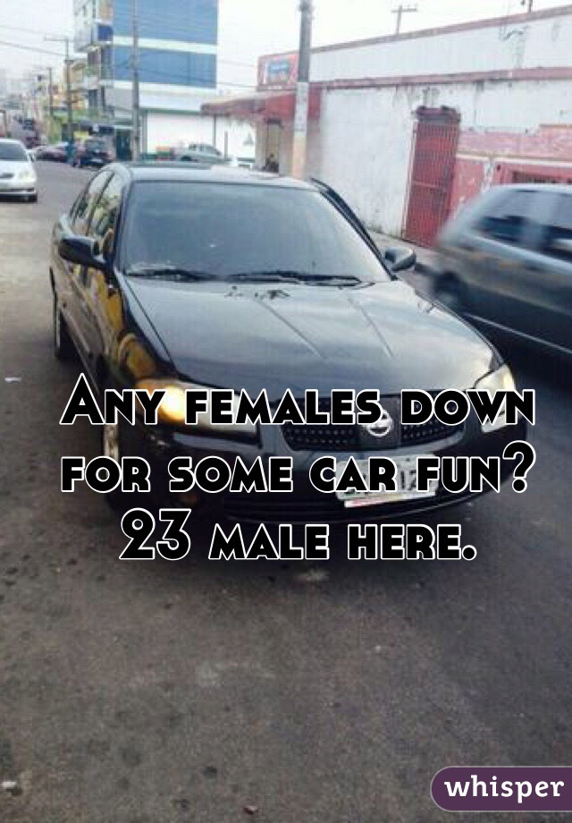 Any females down for some car fun?
23 male here.