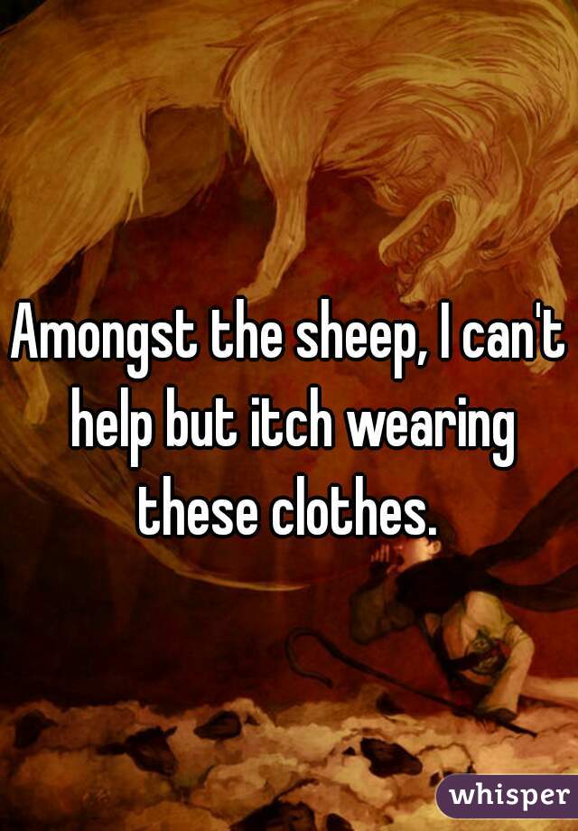 Amongst the sheep, I can't help but itch wearing these clothes. 