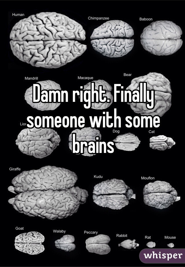 Damn right. Finally someone with some brains 