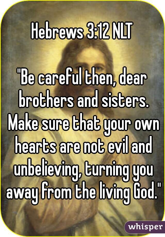 Hebrews 3:12 NLT

"Be careful then, dear brothers and sisters. Make sure that your own hearts are not evil and unbelieving, turning you away from the living God."