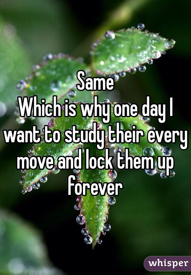 Same
Which is why one day I want to study their every move and lock them up forever 