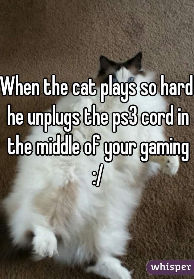 When the cat plays so hard he unplugs the ps3 cord in the middle of your gaming :/