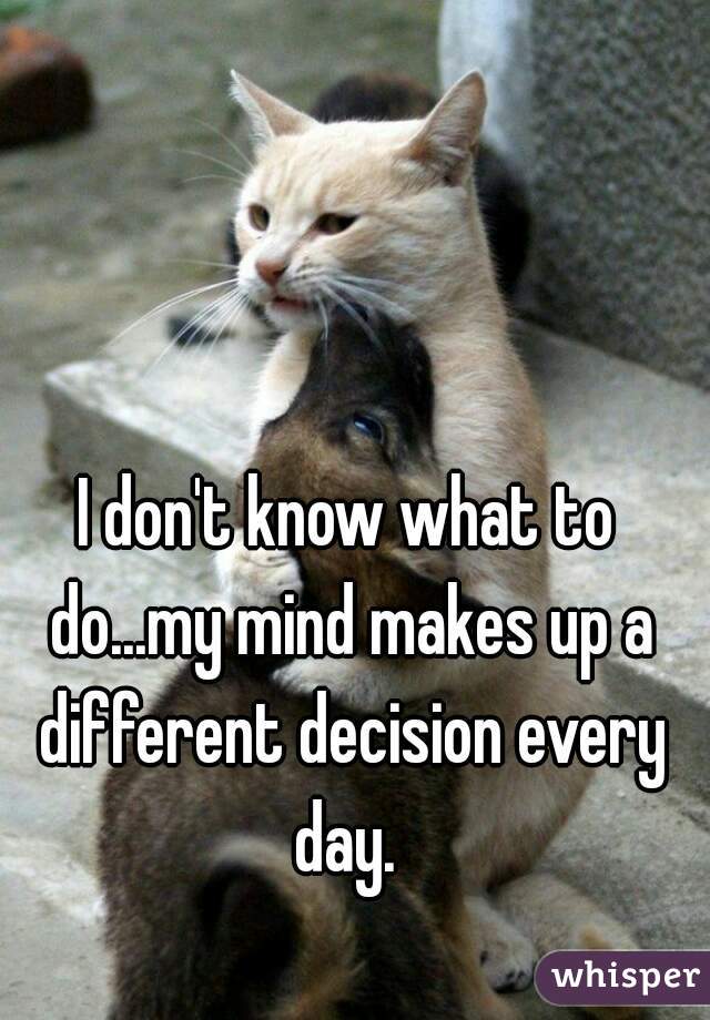 I don't know what to do...my mind makes up a different decision every day. 