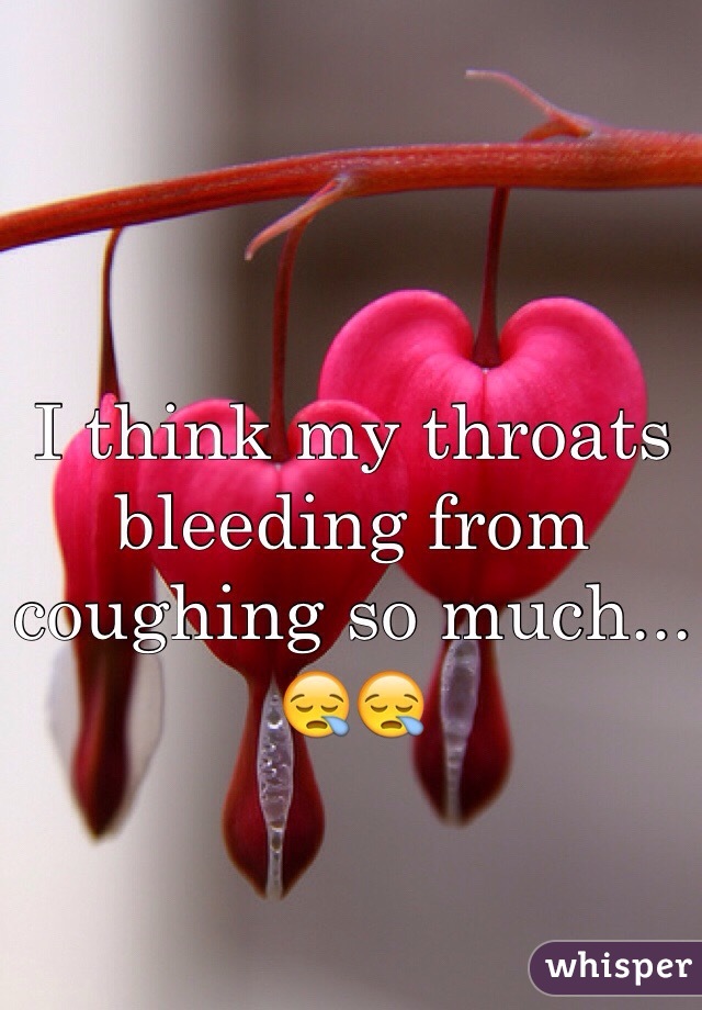 I think my throats bleeding from coughing so much... 😪😪