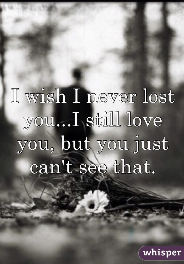 I wish I never lost you...I still love you, but you just can't see that. 