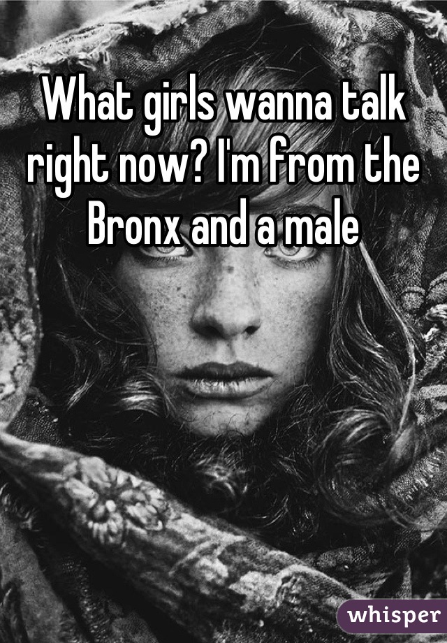 What girls wanna talk right now? I'm from the Bronx and a male