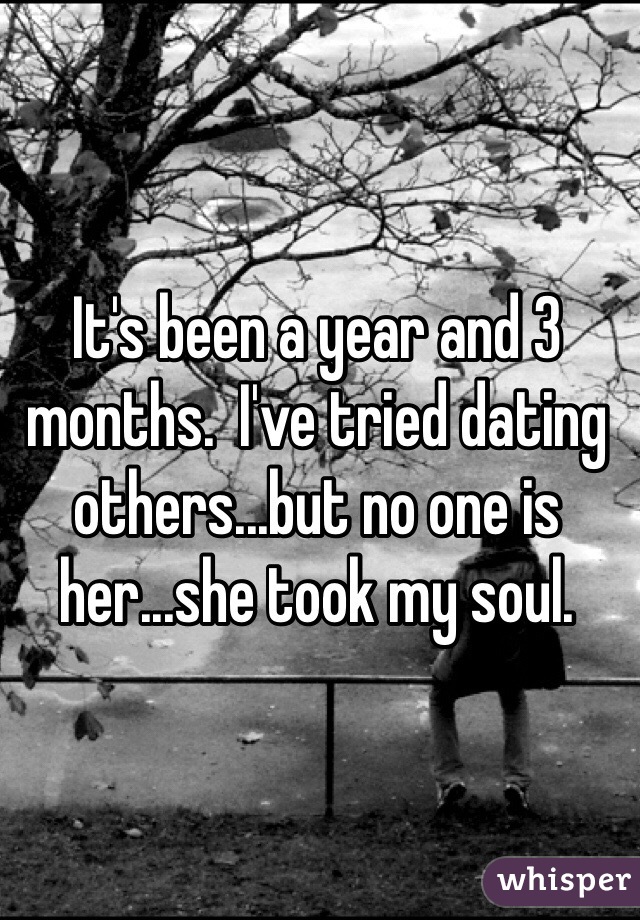 It's been a year and 3 months.  I've tried dating others...but no one is her...she took my soul.