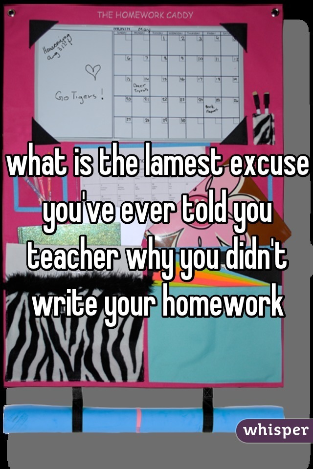 what is the lamest excuse you've ever told you teacher why you didn't write your homework